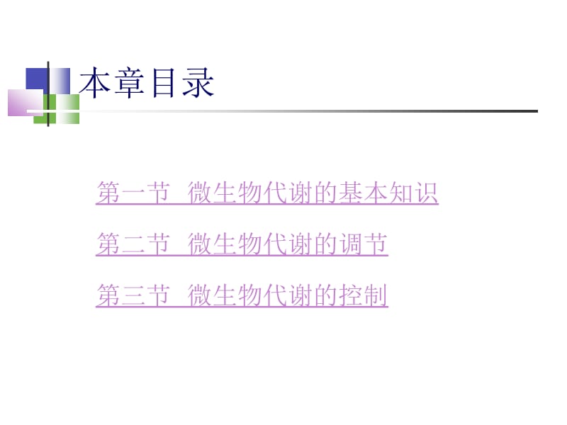 第五章微生物的代谢与发酵控制名师编辑PPT课件.ppt_第2页