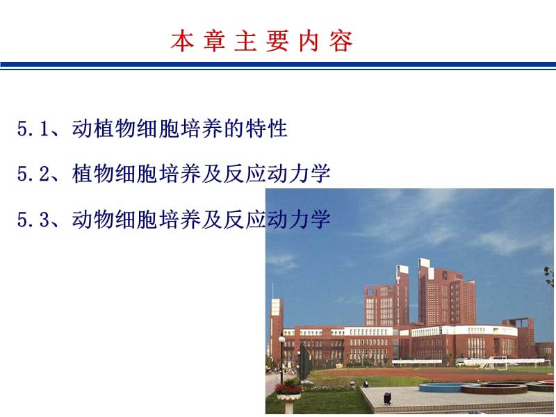 第五部分动植物细胞培养动力学教学课件名师编辑PPT课件.ppt_第2页