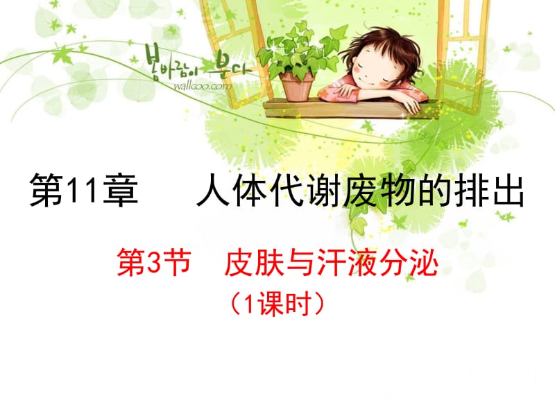 第11章人体代谢废物的排出名师编辑PPT课件.ppt_第2页