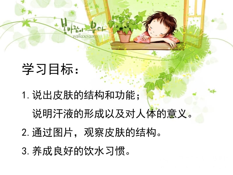 第11章人体代谢废物的排出名师编辑PPT课件.ppt_第3页