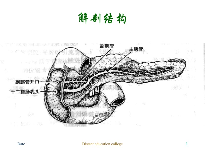 第二十七胰腺疾病病人的护理名师编辑PPT课件.ppt_第3页