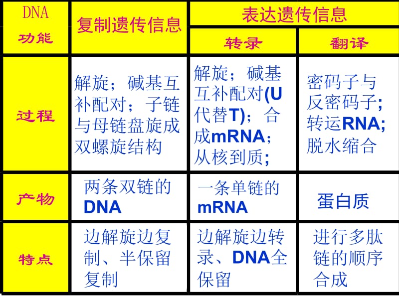 第4章基因的表达第2节基因对性状的控制名师编辑PPT课件.ppt_第2页