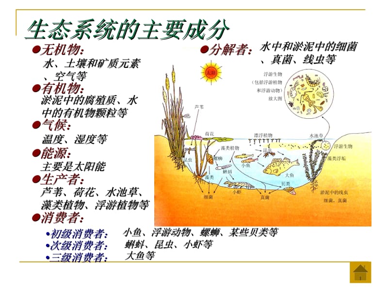 第一节生态系统的营养结构名师编辑PPT课件.ppt_第3页