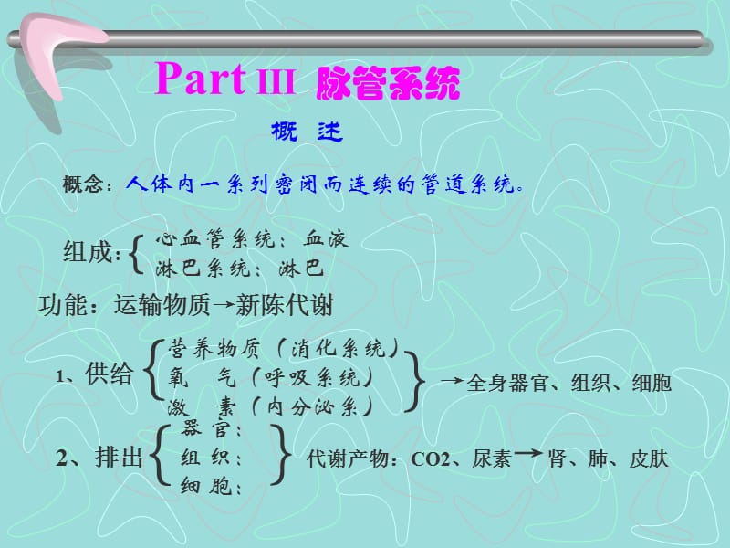 心血管系统解剖学课件10名师编辑PPT课件.ppt_第1页