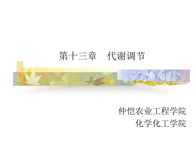 第十三章代谢调节名师编辑PPT课件.ppt_第1页