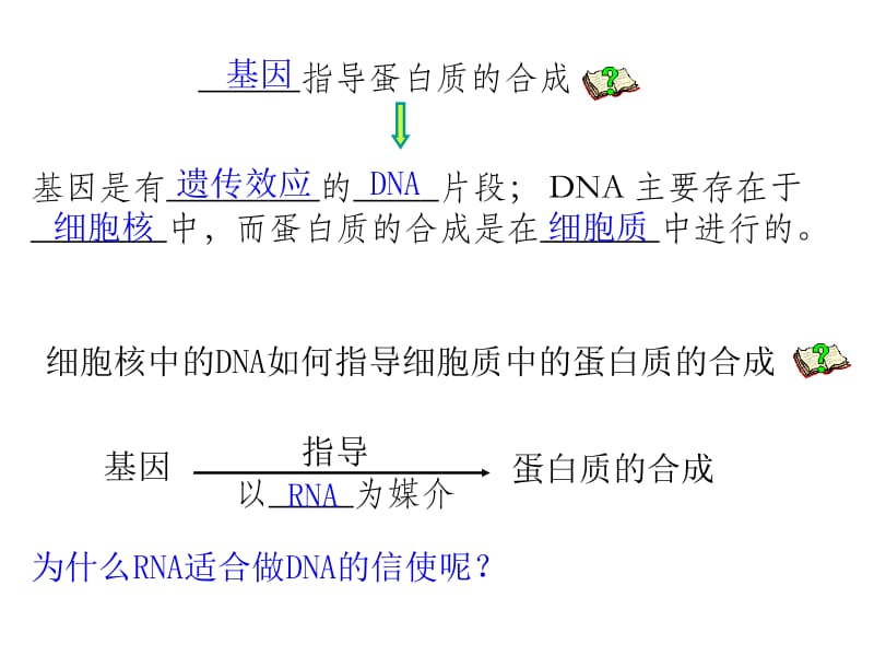 第1节基因指导蛋白质的合成名师编辑PPT课件.ppt_第3页