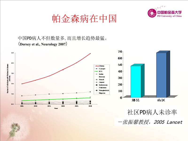 帕金森病的诊断和鉴别诊断名师编辑PPT课件.ppt_第3页