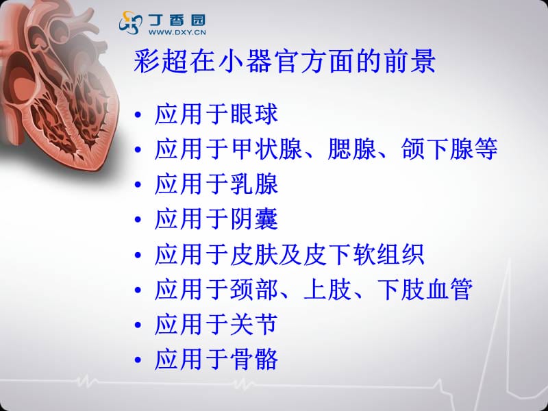 彩超检查在小器官名师编辑PPT课件.ppt_第2页