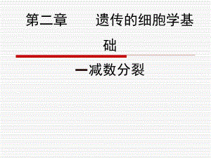 第二章遗传的细胞学基础减数分裂名师编辑PPT课件.ppt