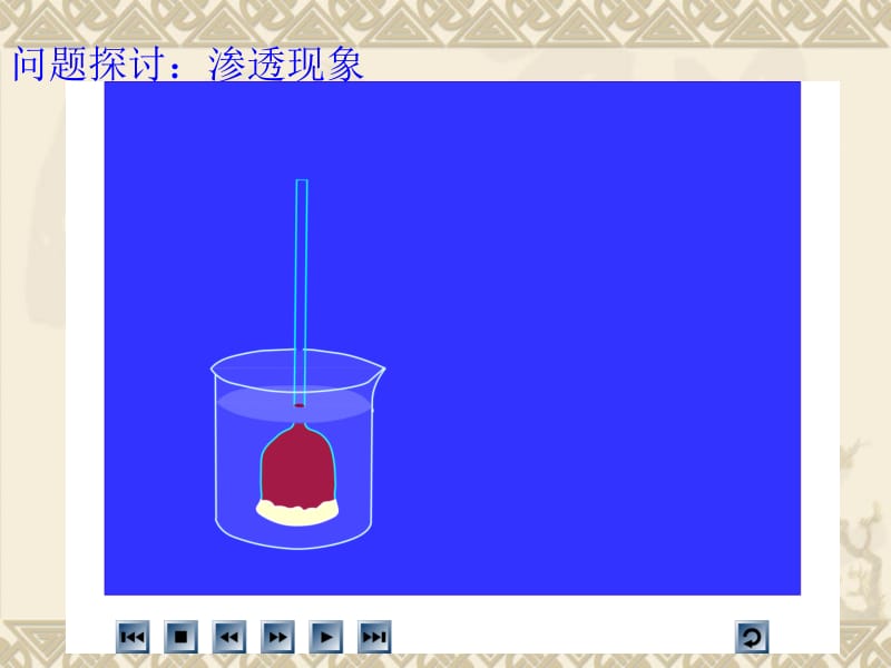 第4部分细胞的物质输入和输出名师编辑PPT课件.ppt_第3页