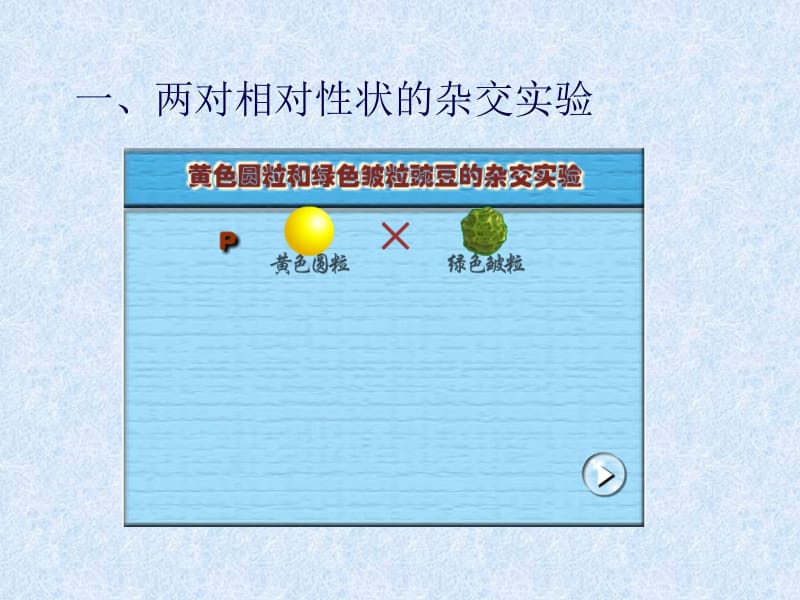 第二章基因的自由组合规律名师编辑PPT课件.ppt_第3页