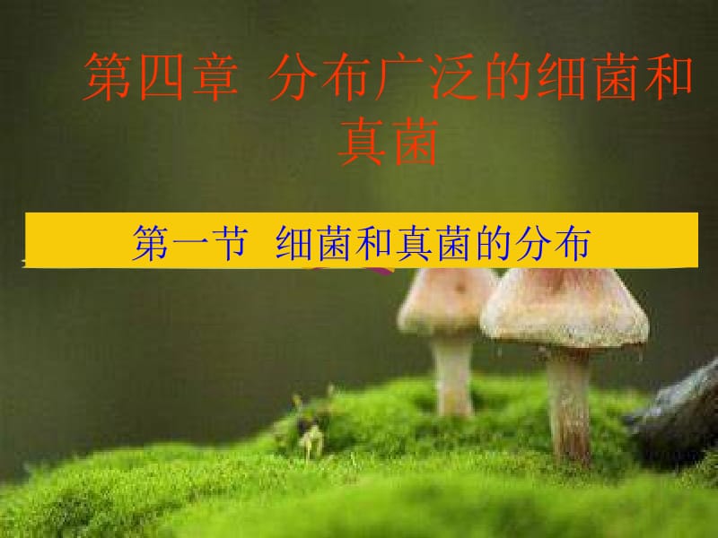 八年级生物第四章第一节细菌和真菌的分布课件人教版(2)1名师编辑PPT课件.ppt_第1页