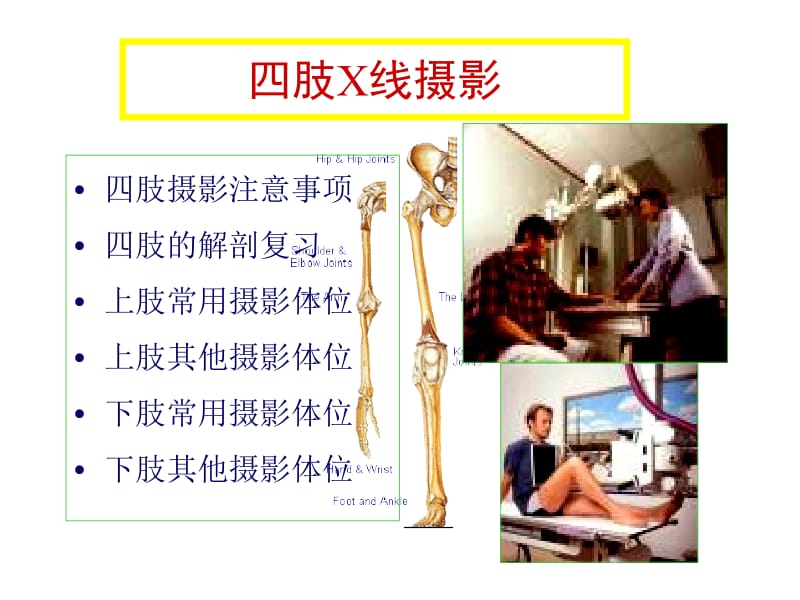 医学影像检查技术之摄影位置学名师编辑PPT课件.ppt_第2页