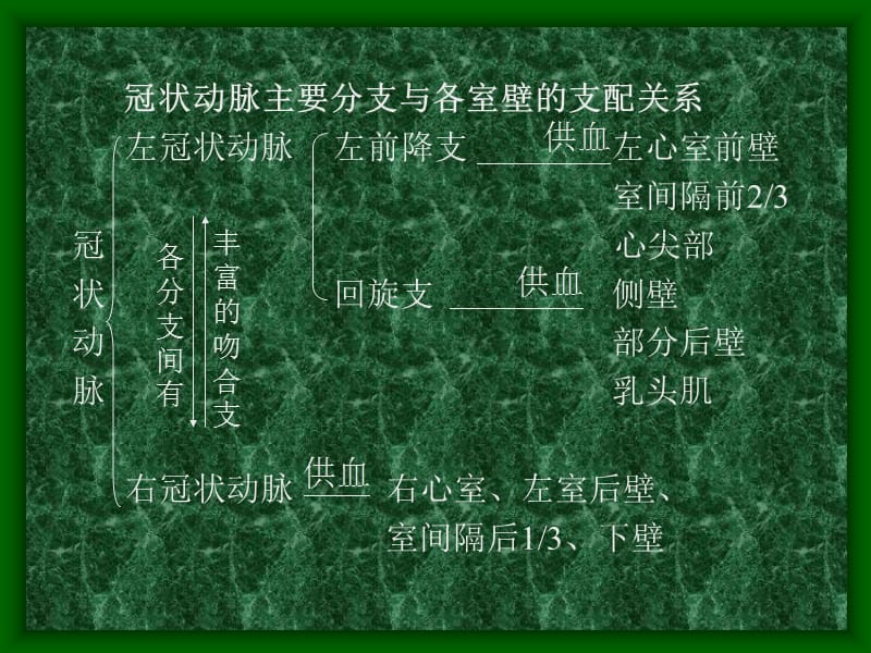 冠状动脉粥样硬化性心脏病冠心病的超声诊断-韩建一名师编辑PPT课件.ppt_第2页