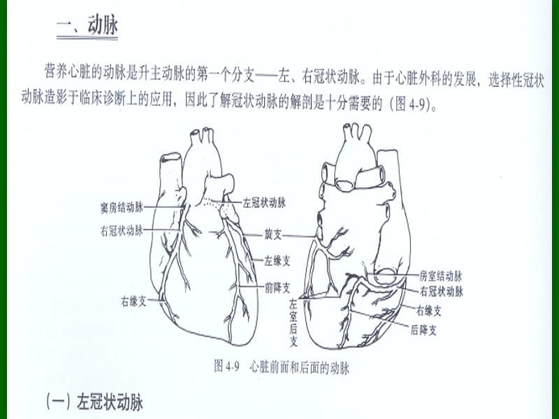 冠状动脉粥样硬化性心脏病冠心病的超声诊断-韩建一名师编辑PPT课件.ppt_第3页