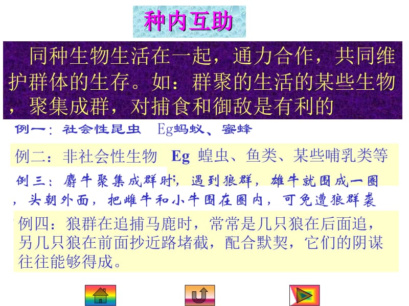 第七章生物与环境名师编辑PPT课件.ppt_第2页