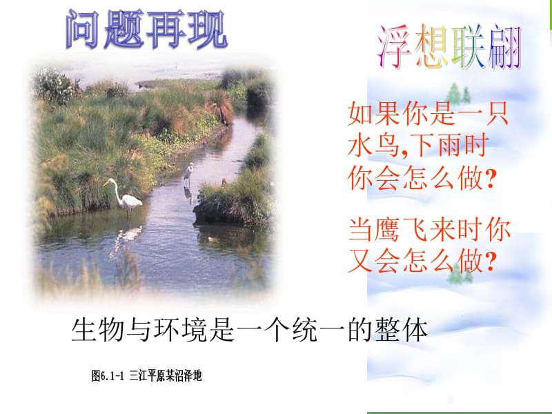 第六单元生物与环境名师编辑PPT课件.ppt_第3页