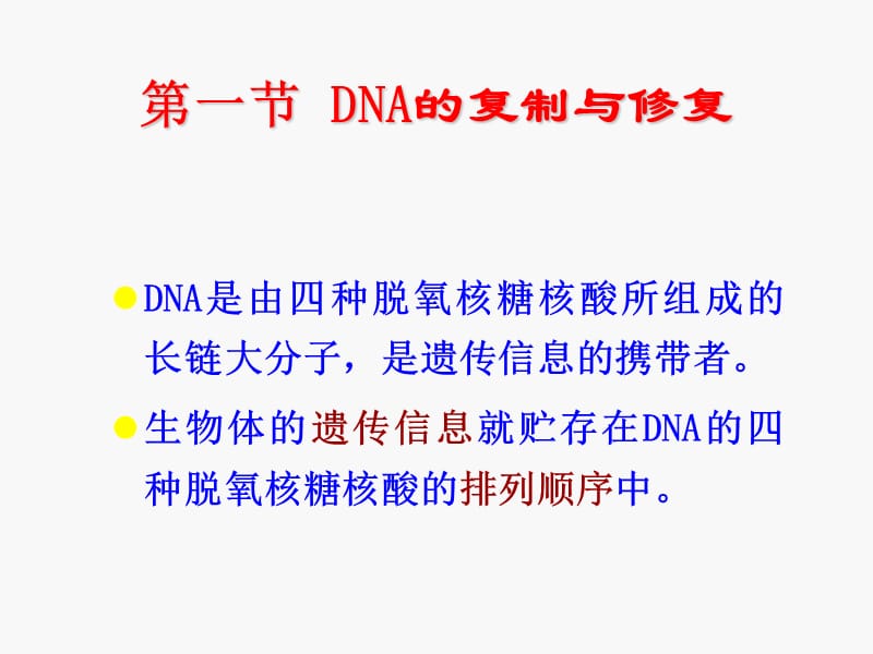 第十一章DNA复制RNA转录蛋白质翻译名师编辑PPT课件.ppt_第2页