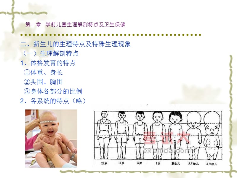 第一部分学前儿童生理解剖特点及卫生保健名师编辑PPT课件.ppt_第2页