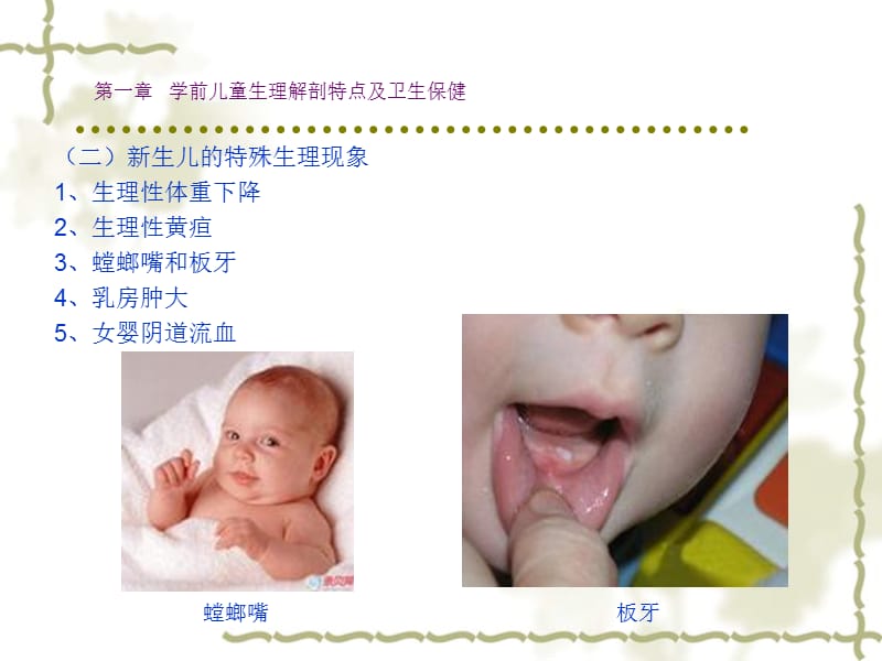 第一部分学前儿童生理解剖特点及卫生保健名师编辑PPT课件.ppt_第3页