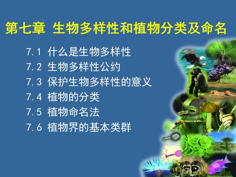 第七章生物多样性和植物分类及命名名师编辑PPT课件.ppt_第1页