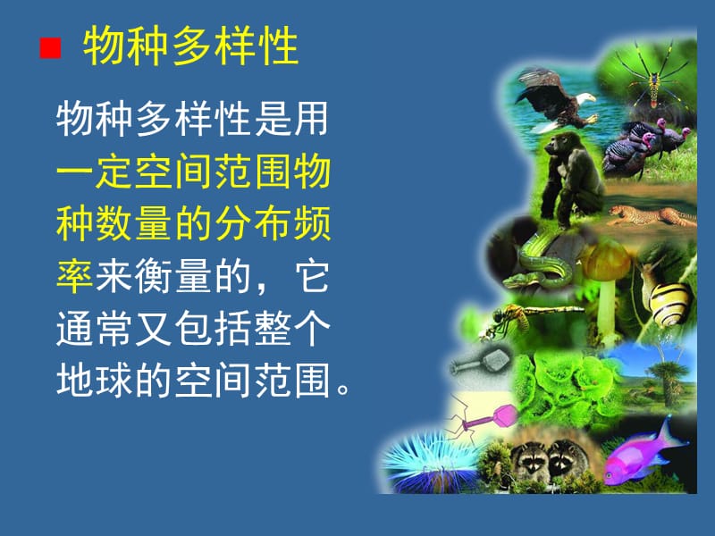 第七章生物多样性和植物分类及命名名师编辑PPT课件.ppt_第3页