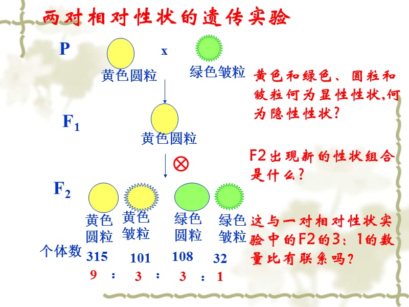 第二节孟德尔的豌豆杂交实验二名师编辑PPT课件.ppt_第2页