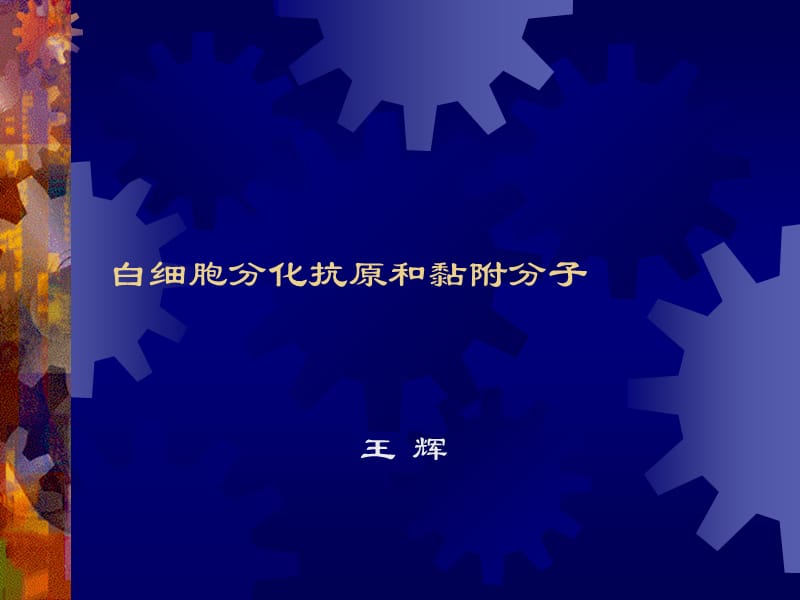 白细胞分化抗原和黏附分子课件名师编辑PPT课件.ppt_第1页