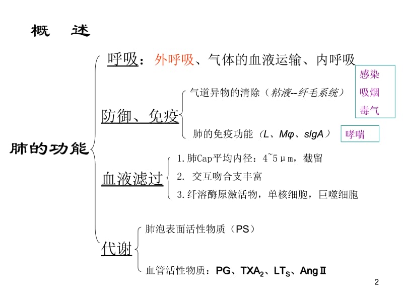 第15章肺功能不全名师编辑PPT课件.ppt_第2页