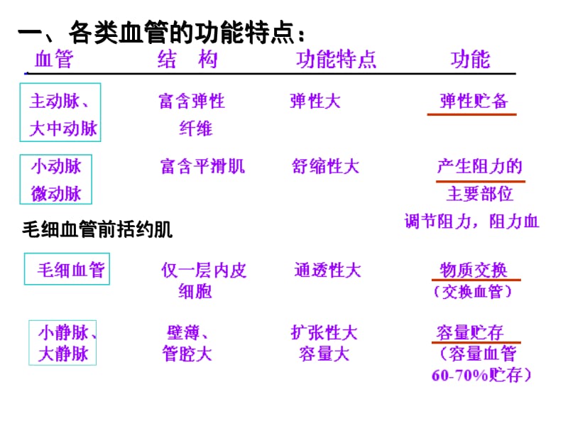 第4章第3节血管生理名师编辑PPT课件.ppt_第2页