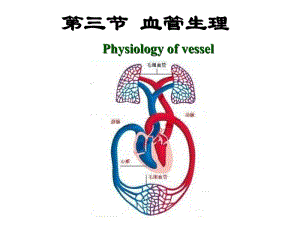 第4章第3节血管生理名师编辑PPT课件.ppt