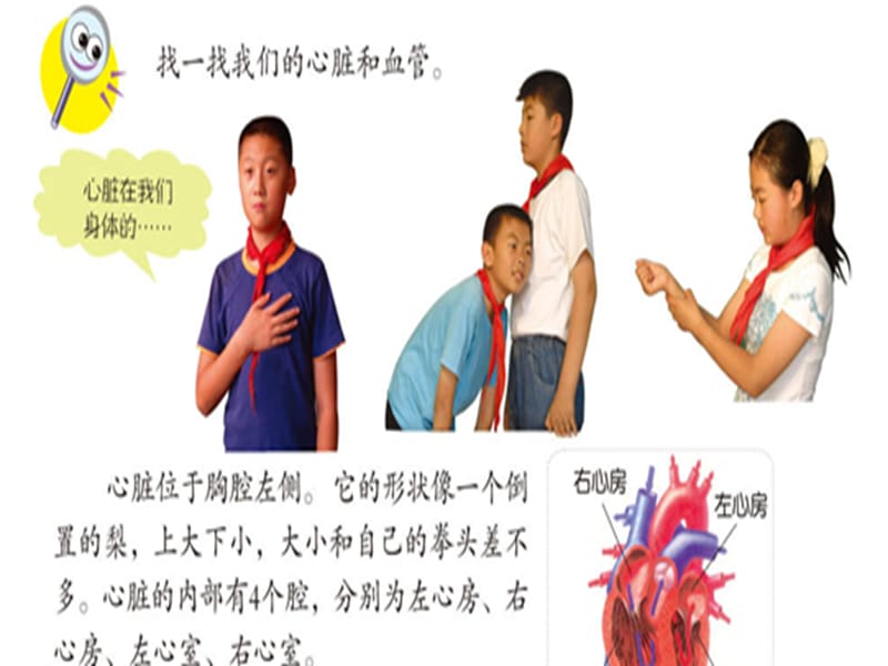 心脏和血管3名师编辑PPT课件.ppt_第3页