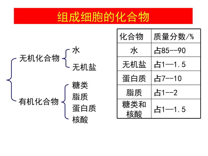 第二节生命活动的主要承担者---蛋白质郑州二中党茹名师编辑PPT课件.ppt_第2页