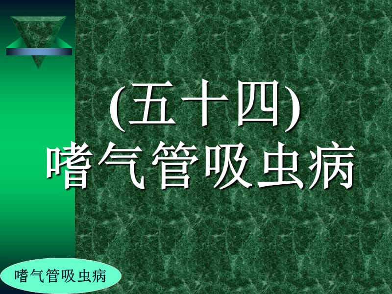 禽病学禽病临床诊断彩色图谱54嗜气管吸虫病西南民族大学名师编辑PPT课件.ppt_第1页