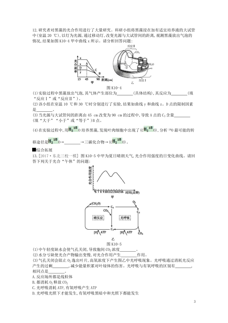 2019届高考生物总复习课时作业10_A光合作用的探究历程与基本过程201805173113.doc_第3页