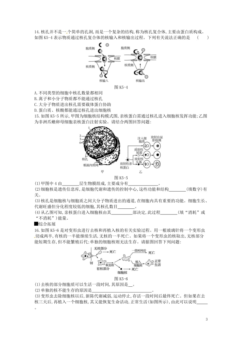 2019届高考生物总复习课时作业5细胞膜与细胞核201805173148.doc_第3页