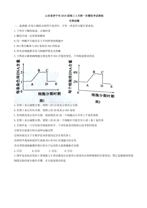 山东省济宁市2018届高三第一次模拟考试生物试题word版有答案.doc