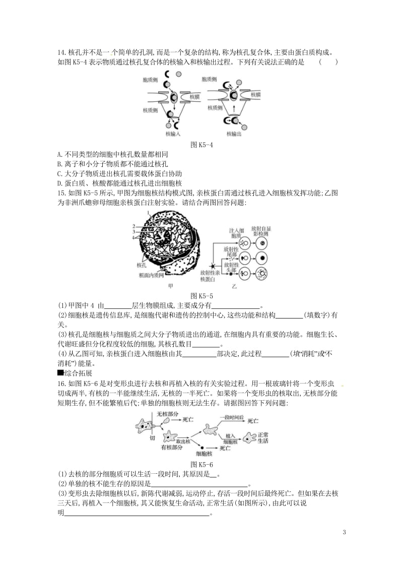 2019届高考生物总复习课时作业5细胞膜与细胞核201805173148.wps_第3页