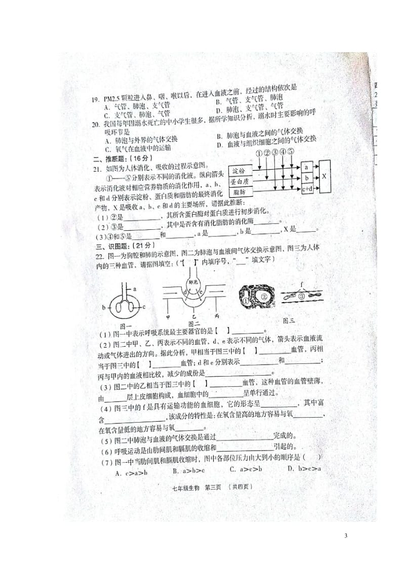 山西省孝义市2017_2018学年七年级生物下学期期中试题扫描版新人教版20180517211.doc_第3页