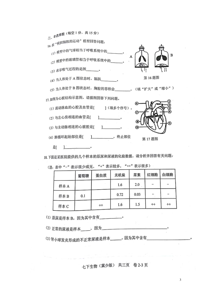 江西省吉安市吉州区2017_2018学年七年级生物下学期期中试题扫描版20180516191.wps_第3页