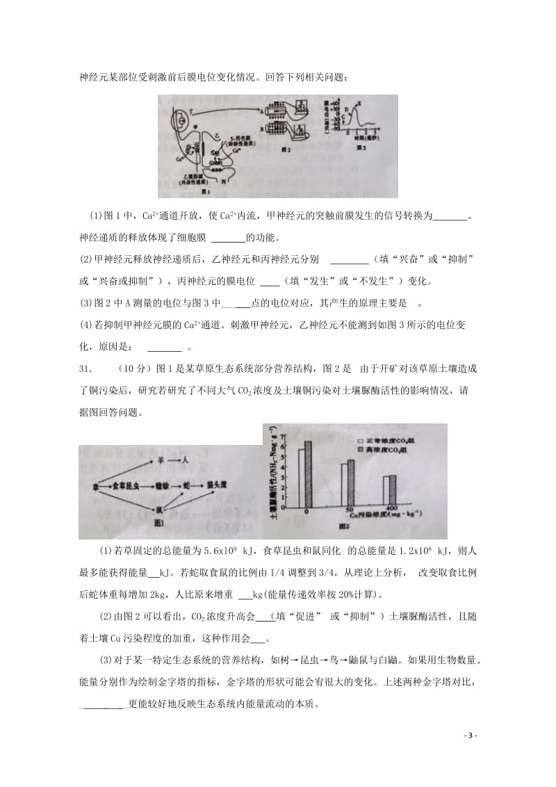 年期第二次模拟试题201805111326.doc_第3页