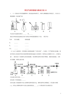 吉林省吉林市中考化学复习练习常见气体的检验与除杂方法19无答案新人教版201804211107.doc