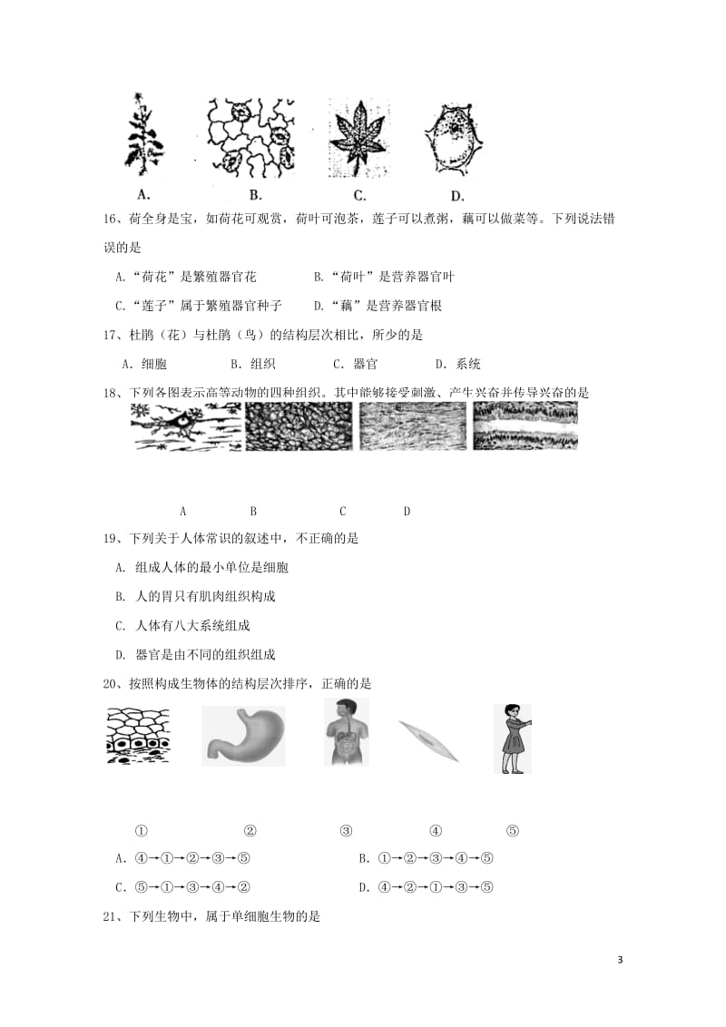 江苏省仪征市2017_2018学年七年级生物下学期期中试题苏教版20180425226.doc_第3页