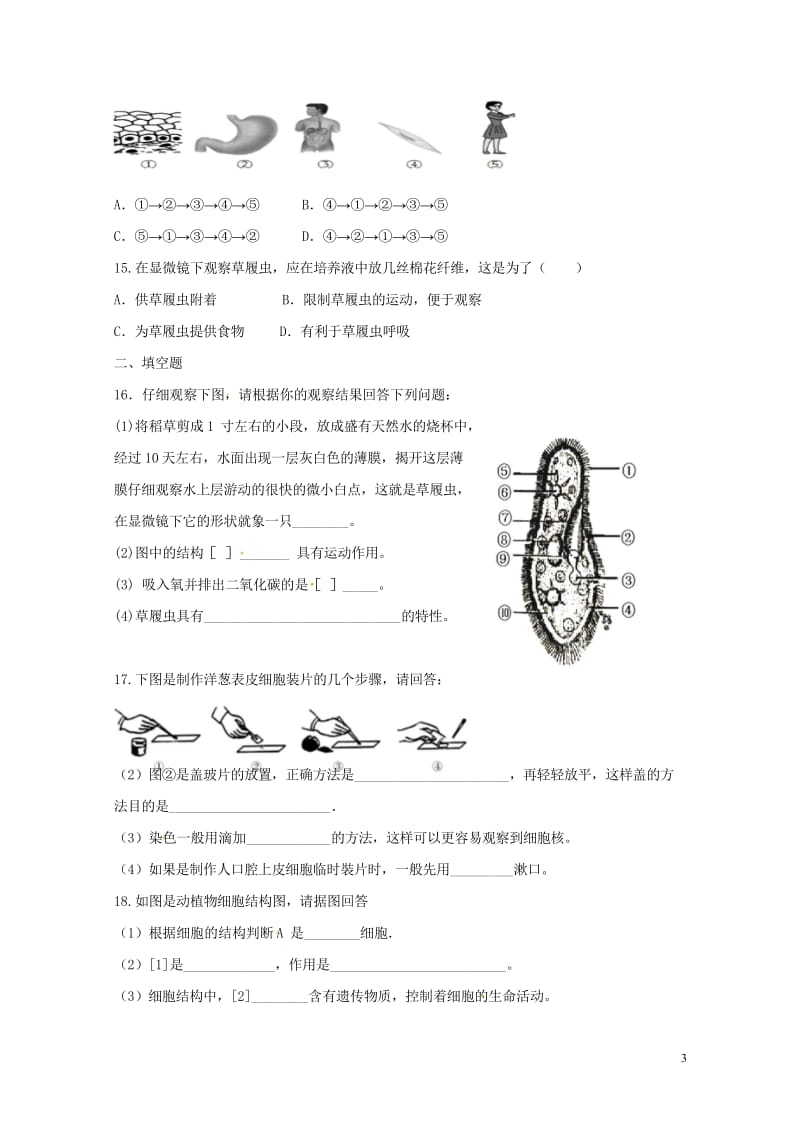 江苏省灌南县2017_2018学年七年级生物下学期第一次月考试题无答案苏科版20180428353.wps_第3页