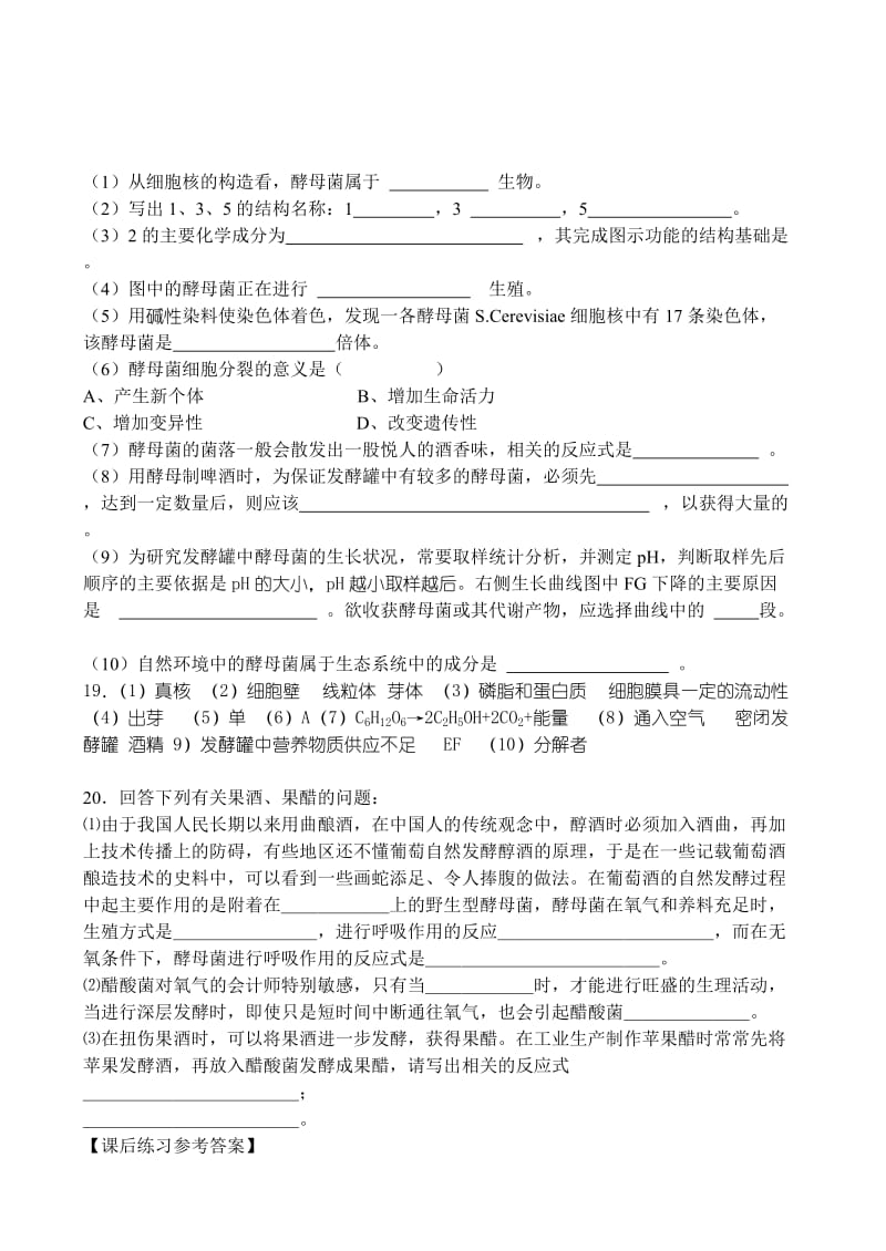 最新课题1 传统发酵技术的应用（第2课时）名师精心制作教学资料.doc_第3页