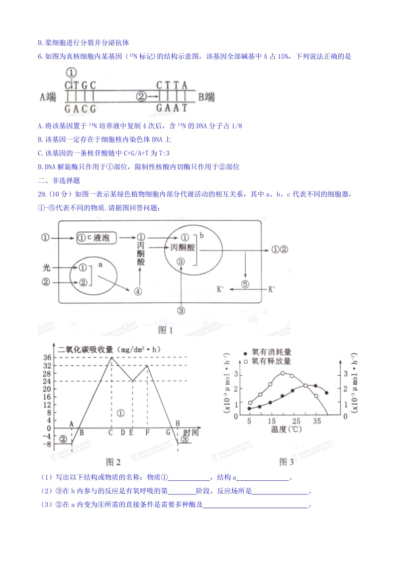 最新辽宁省沈阳市郊联体2018届高三第一次模拟考试理综生物试题word版有答案.doc_第2页