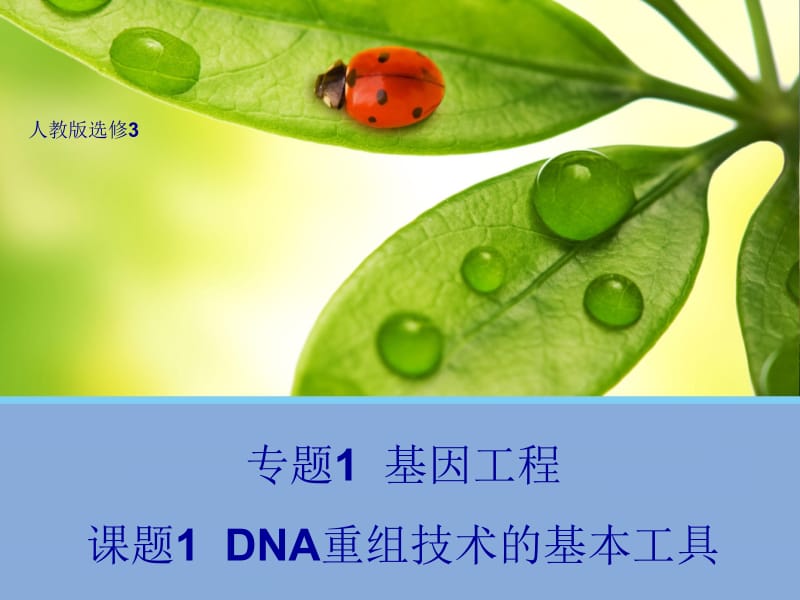 1.1DNA重组技术的基本工具课件.ppt_第1页