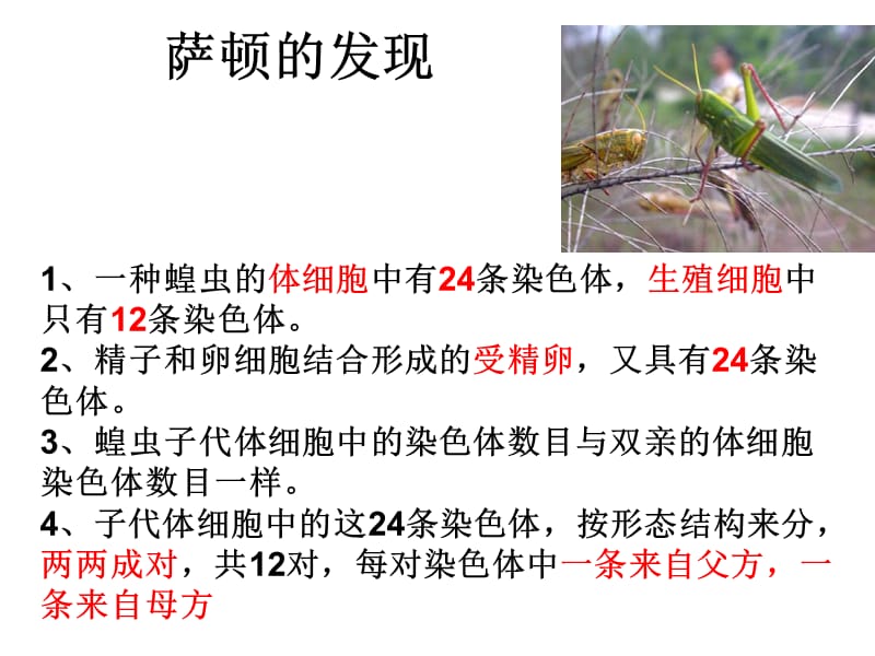 山东省高中生物第二章基因和染色体的关系2.2基因位于染色体上课件新人教版.pptx_第1页