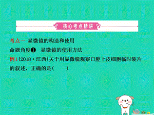 江西2019届中考生物第1部分第一章细胞是生命活动的基本单位复习课件.pptx