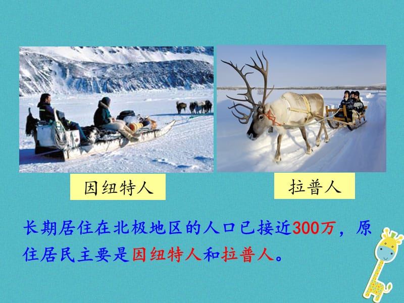 广东省汕头市七年级地理下册第七章第五节北极地区和南极地区课件新版湘教版.pptx_第3页